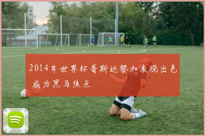 2014年世界杯哥斯达黎加表现出色 成为黑马焦点