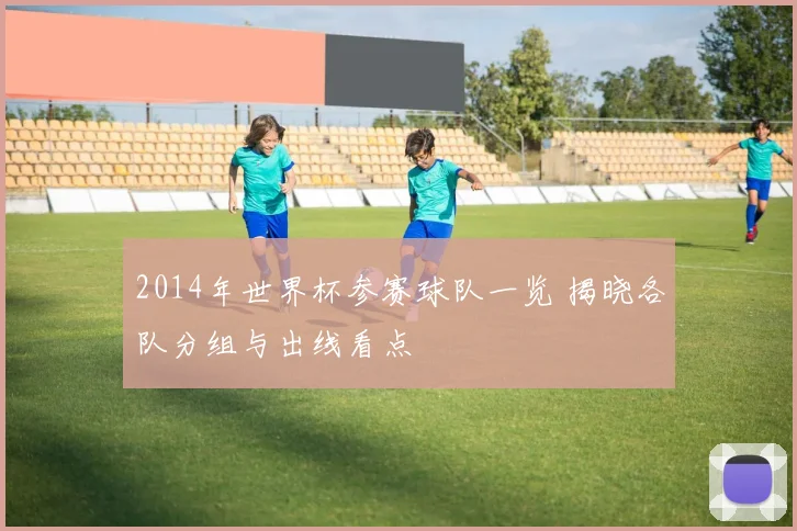 2014年世界杯参赛球队一览 揭晓各队分组与出线看点