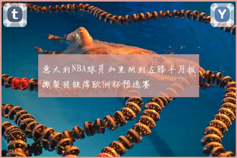 意大利NBA球员加里纳利左膝半月板撕裂将缺席欧洲杯预选赛