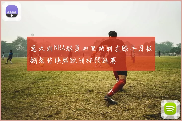 意大利NBA球员加里纳利左膝半月板撕裂将缺席欧洲杯预选赛